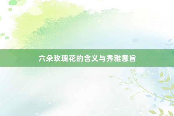 六朵玫瑰花的含义与秀雅意旨